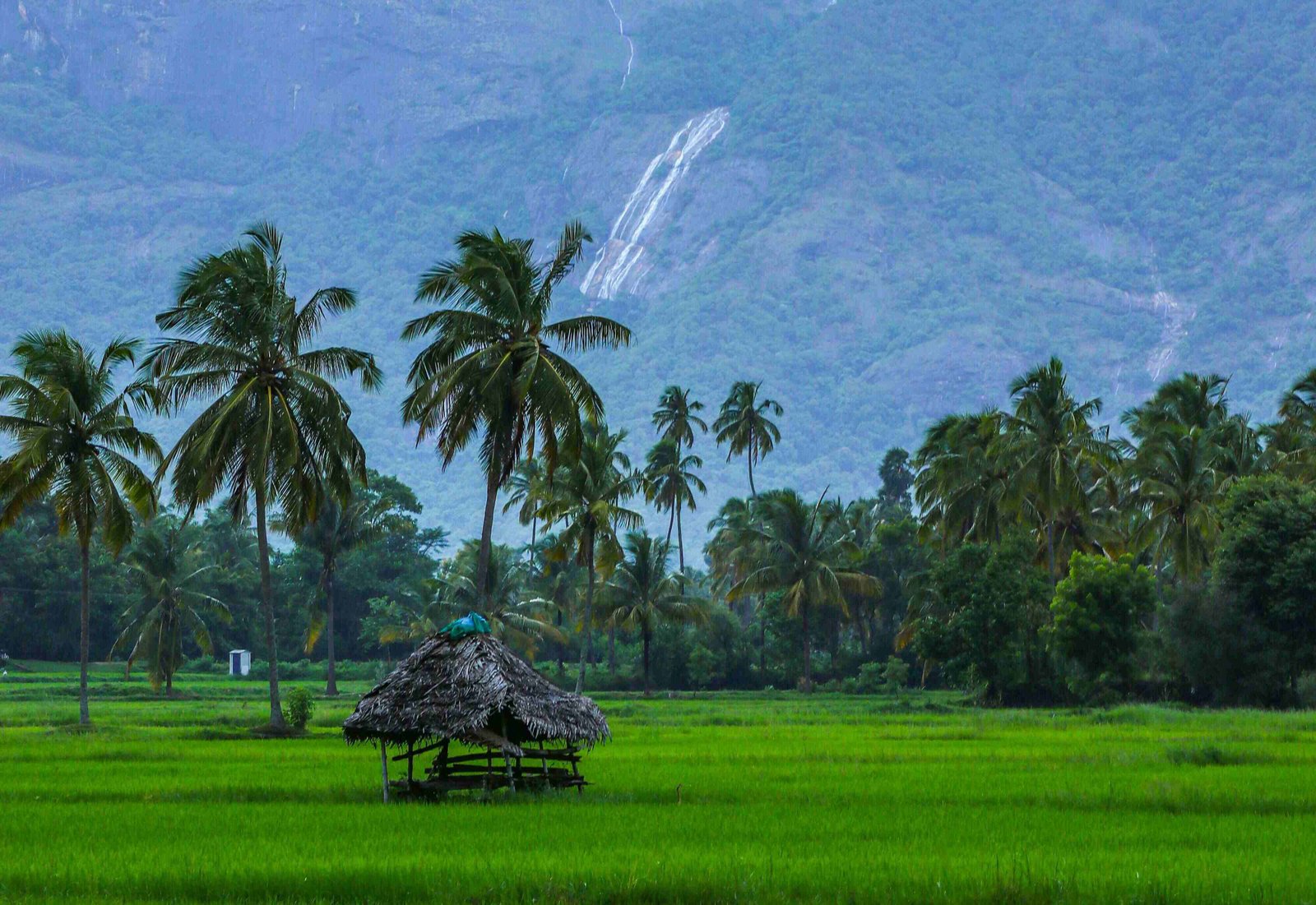 Travel