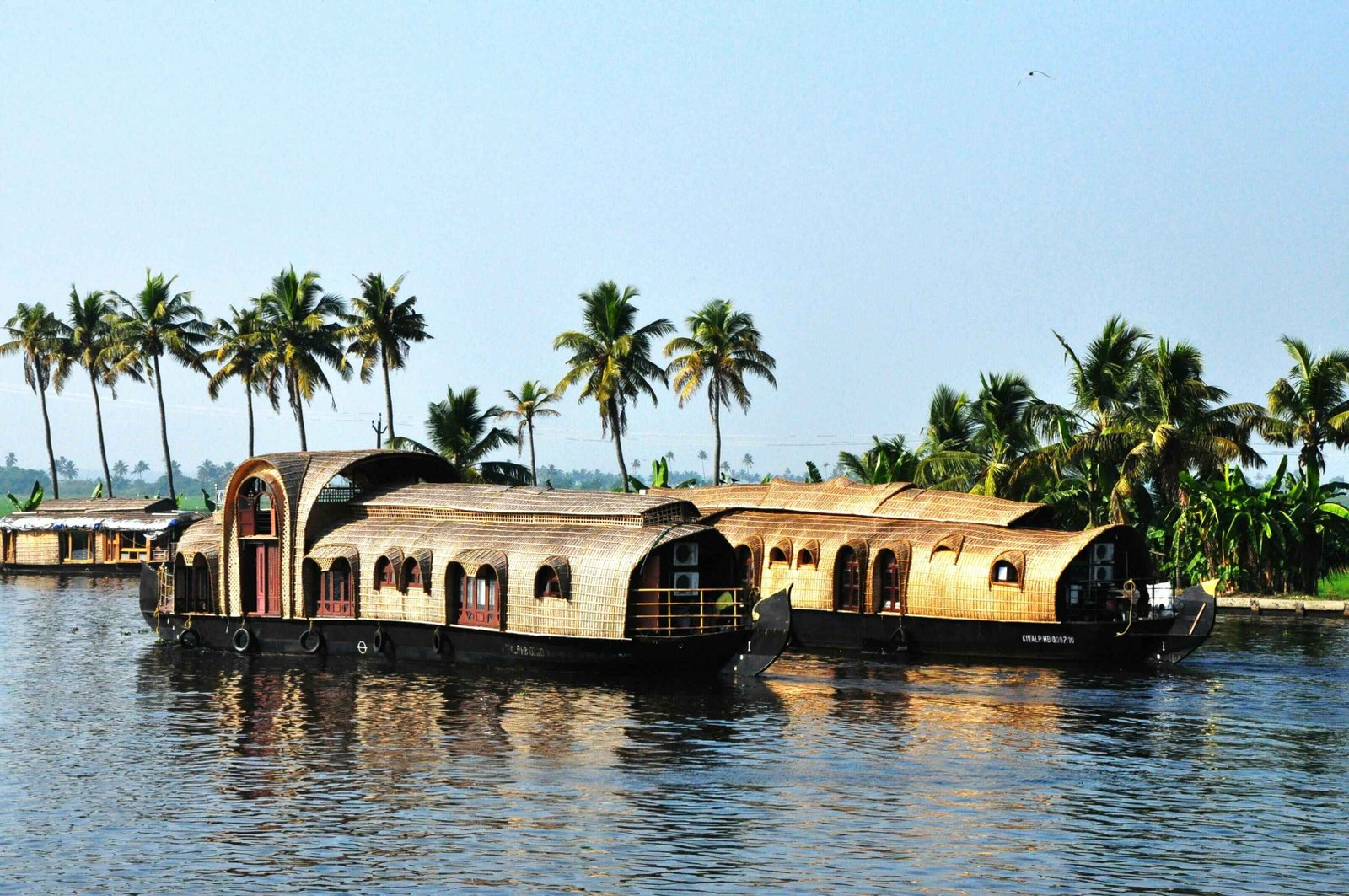 Alappuzha