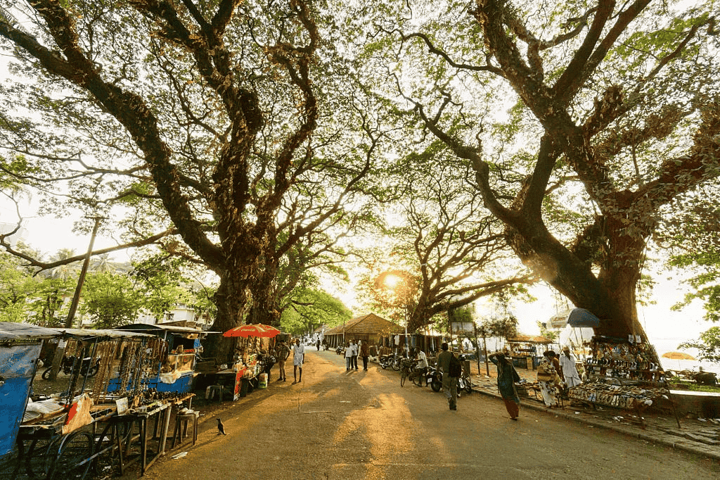 Kochi